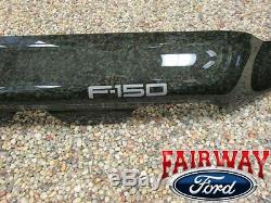 04 thru 08 F-150 OEM Genuine Ford Parts Smoke Hood Deflector Bug Shield NEW