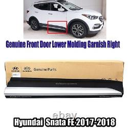 FEDEX? Front Door Lower Molding Garnish Passenger Side For Hyundai Santa Fe 17-18