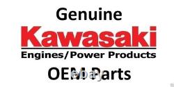Genuine OEM Kawasaki CARBURETOR-ASSY Part# 15004-1010