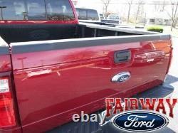 08 À Travers 16 Ford F250 F350 F450 F550 Oem Genuine Ford Parts Top Tail Gate Moulage
