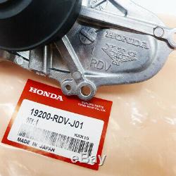 La Nouvelle Pompe Oem Véritable Timing Belt & Eau Kit Pour Honda / Acura V6 Usine De Pièces