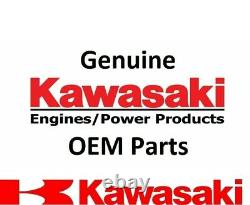 Véritable Cylindre De Tête Kawasaki Oem #1 Part# 11008-0936