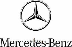 Véritable Mercedes Benz Starter Batterie Auxiliaire Oem (13-17) 0009829608